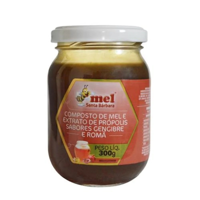 Mel Composto Própolis/Romã/Gengibre 300g